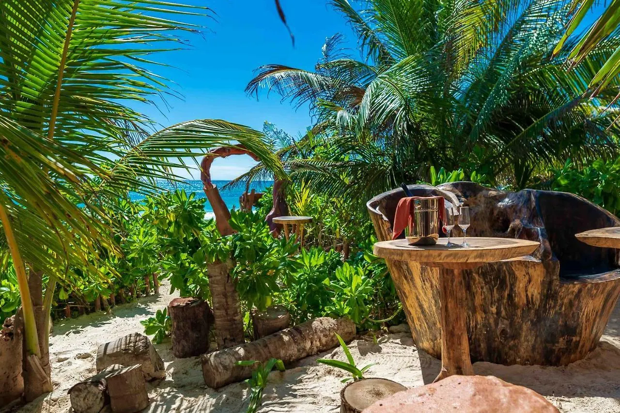 Szálloda Kanan Tulum Treehouse, Rooftop, Beach Club & Spa - Adults Only