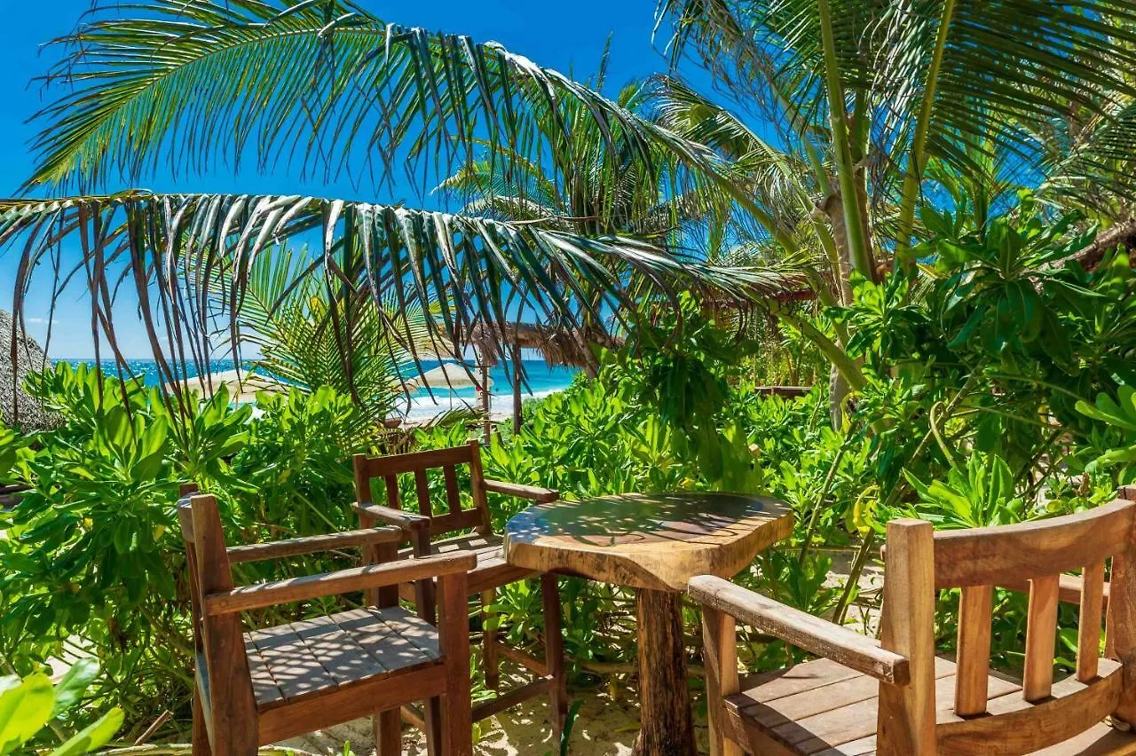 Szálloda Kanan Tulum Treehouse, Rooftop, Beach Club & Spa - Adults Only