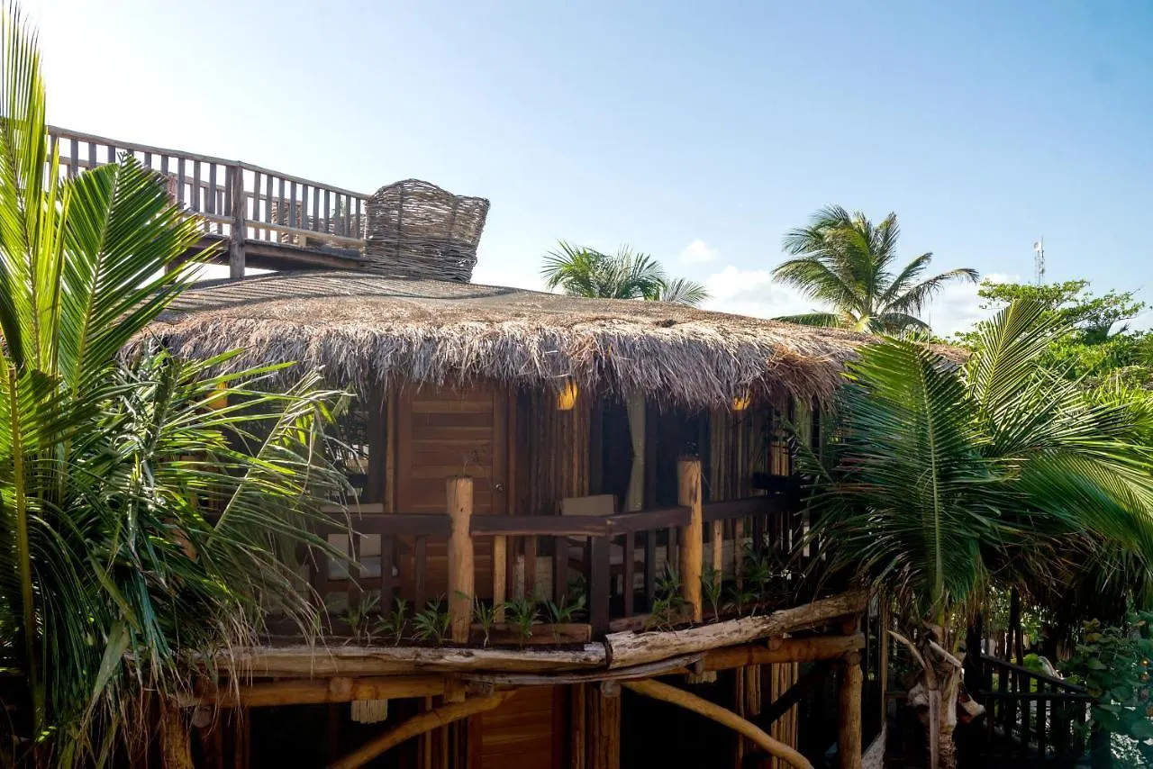Szálloda Kanan Tulum Treehouse, Rooftop, Beach Club & Spa - Adults Only